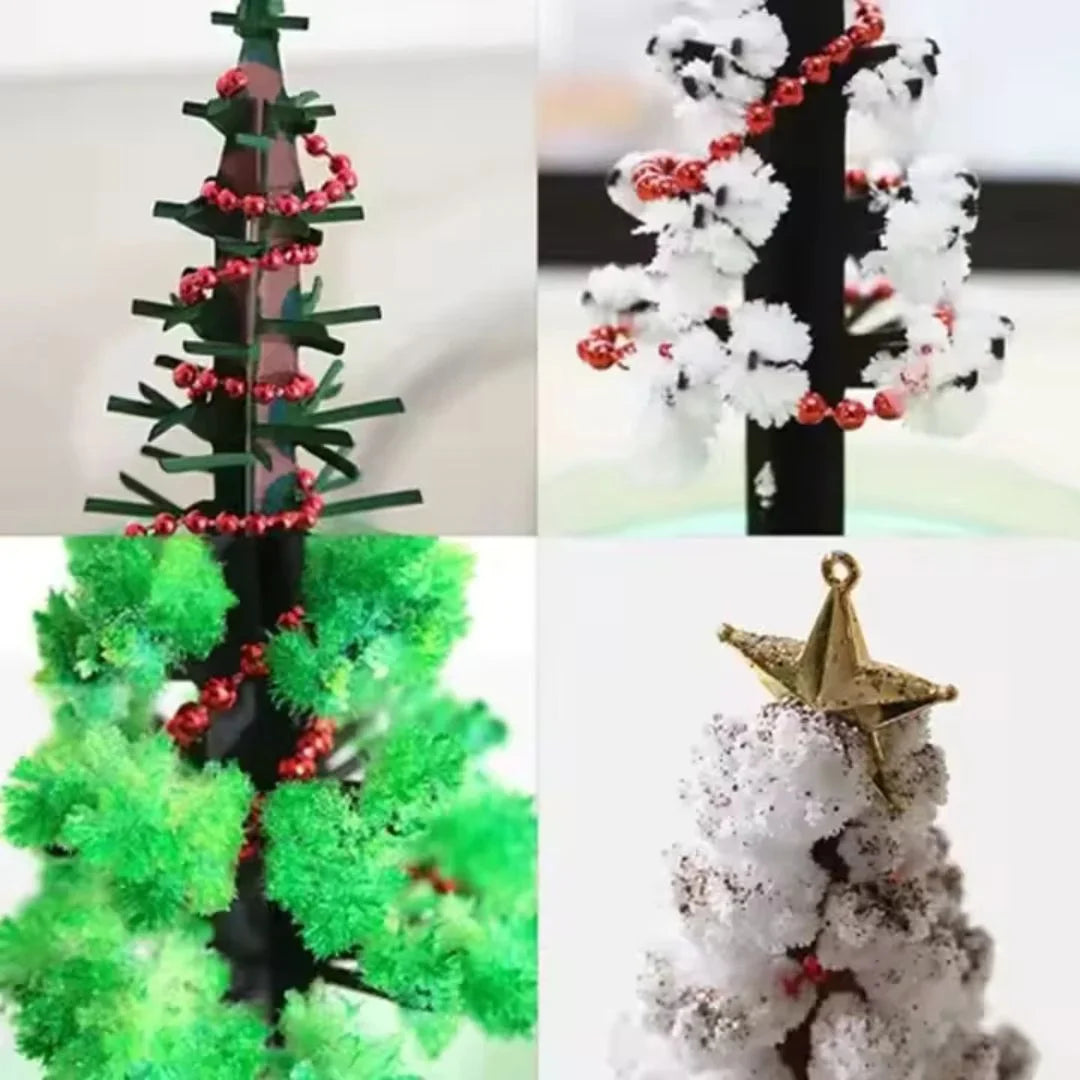 SproutFest™ – Züchte Deinen Eigenen Weihnachtsbaum ab 6 Jahren