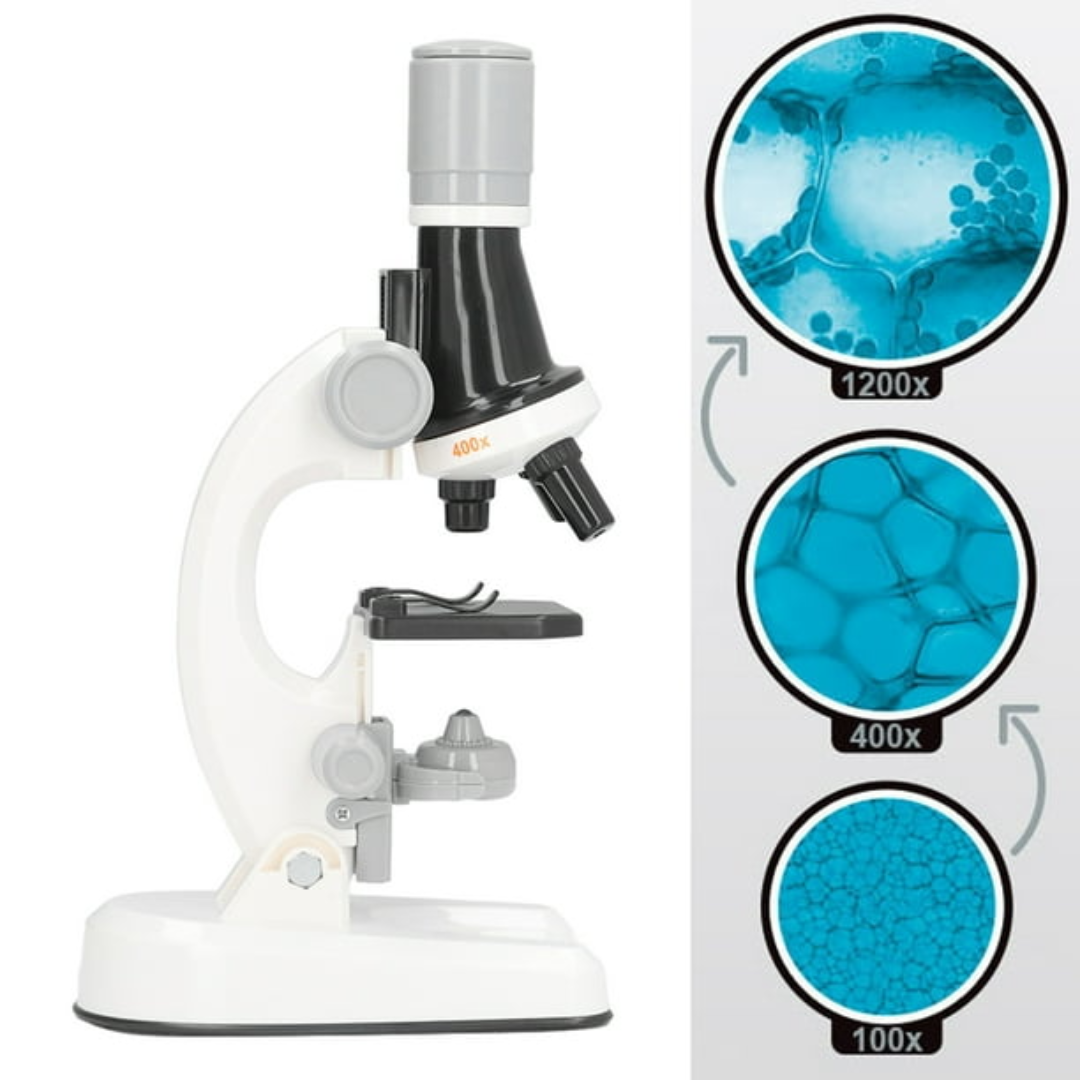 CuriosityLens - Tragbares Bildungswissenschaftsspielzeug für Kinder