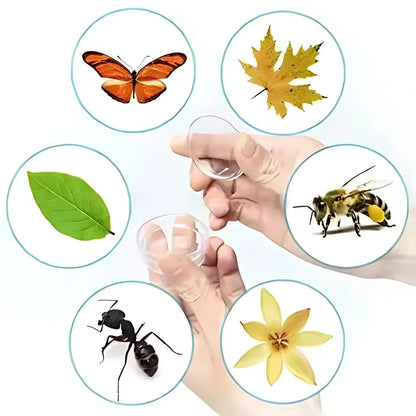 Buglo™ – Insekten-Beobachtungskasten für Kinder ab 4 Jahren | Outdoor Entdecker Spielzeug