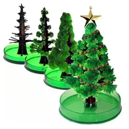 SproutFest™ – Züchte Deinen Eigenen Weihnachtsbaum ab 6 Jahren