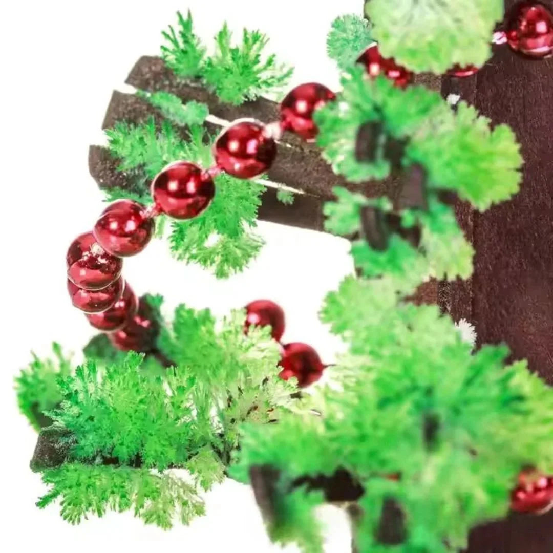 SproutFest™ – Züchte Deinen Eigenen Weihnachtsbaum ab 6 Jahren