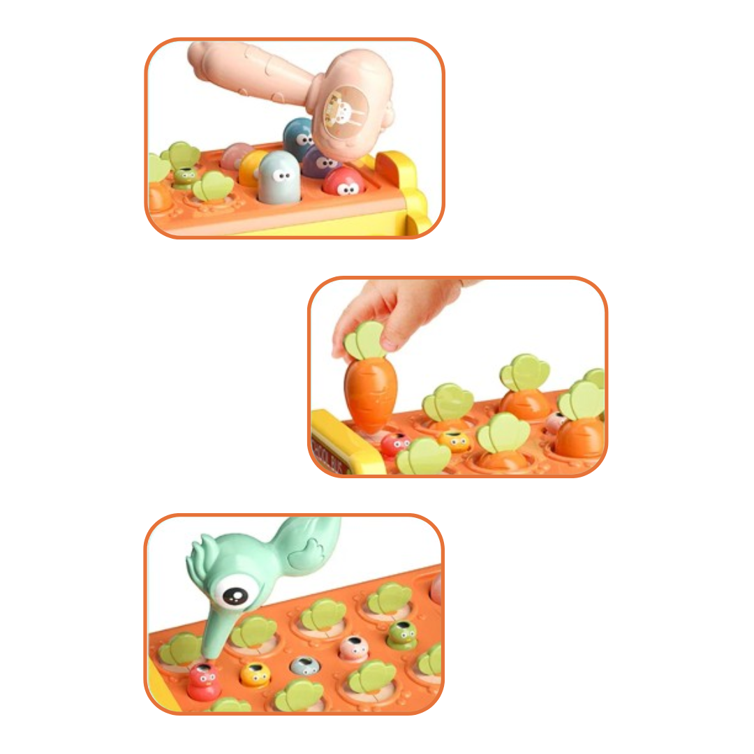 PackPlay – Lustiger Spielzeug Organizer | Aufräum- & Spielspaß für Kinder ab 3 Jahren