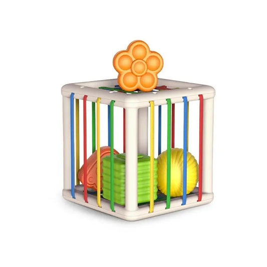 ShapeFun - Vormensorteer Kubus