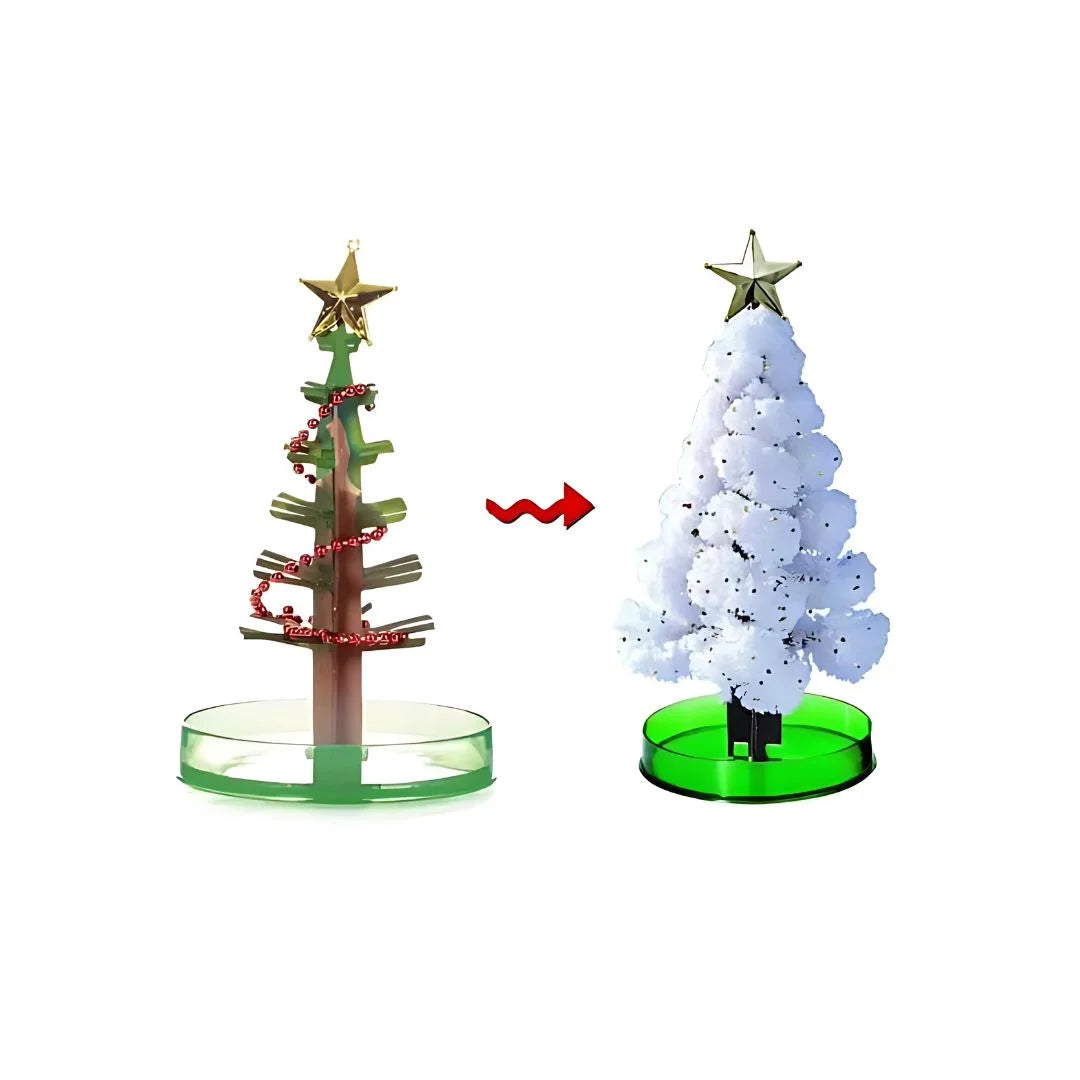 SproutFest™ – Züchte Deinen Eigenen Weihnachtsbaum ab 6 Jahren